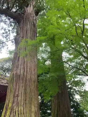 宝城坊(神奈川県)