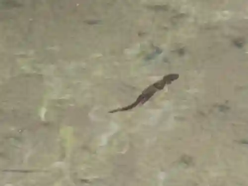 明寿院(滋賀県)