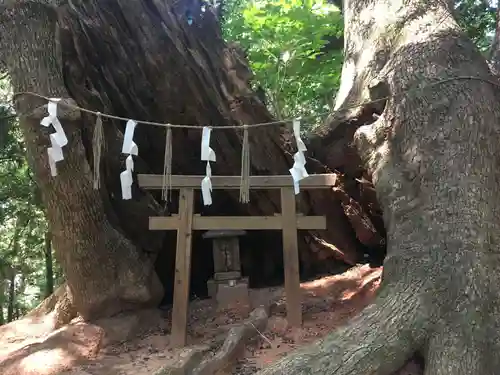 住吉神社の鳥居