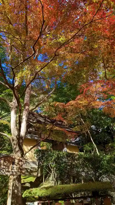 寂光院(京都府)