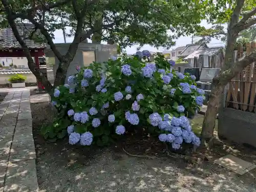 千手院(神奈川県)