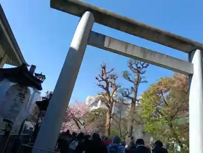 五條天神社の{uncategorized: "未分類", other: "その他", undefined: "問題あり", building: "その他建物", grave: "お墓", sacred_gate: "鳥居", guardian: "狛犬", statue: "像", buddha: "仏像", history: "歴史", nature: "自然", garden: "庭園", animal: "動物", pagoda: "塔", temizu: "手水舎", mountain_gate: "山門・神門", sanctuary: "本殿・本堂", subordinate: "末社・摂社", art: "芸術", scenery: "景色", jizo: "地蔵", ema: "絵馬", goshuin: "御朱印", omikuji: "おみくじ", items: "授与品その他", amulet: "お守り", goshuincho: "御朱印帳", eats: "食事", festival: "お祭り", votive_dance: "神楽", shichigosan: "七五三参", wedding: "結婚式", experience: "体験その他", initially: "初詣", around: "周辺", anti_infection: "感染症対策"}