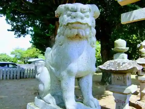 素鵞熊野神社の狛犬