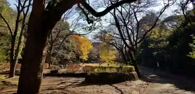 総寧寺(千葉県)