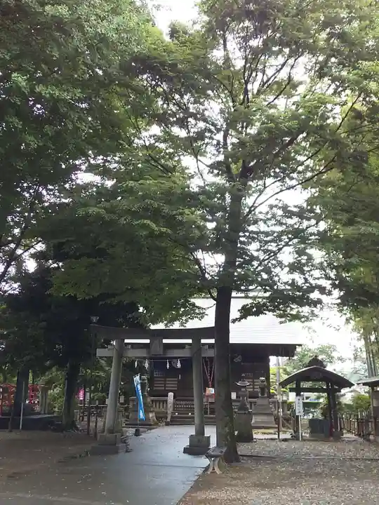 野々宮神社(埼玉県)