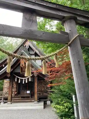 平岸天満宮・太平山三吉神社の本殿