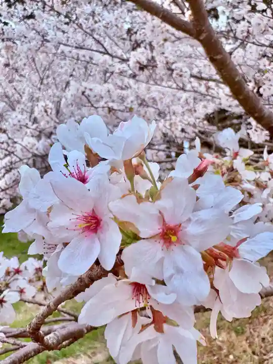 井伊谷宮(静岡県)