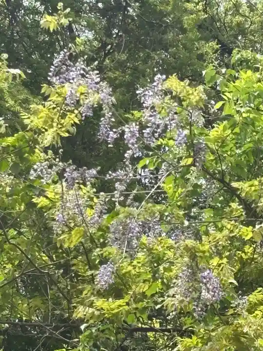 聖徳太子堂(兵庫県)