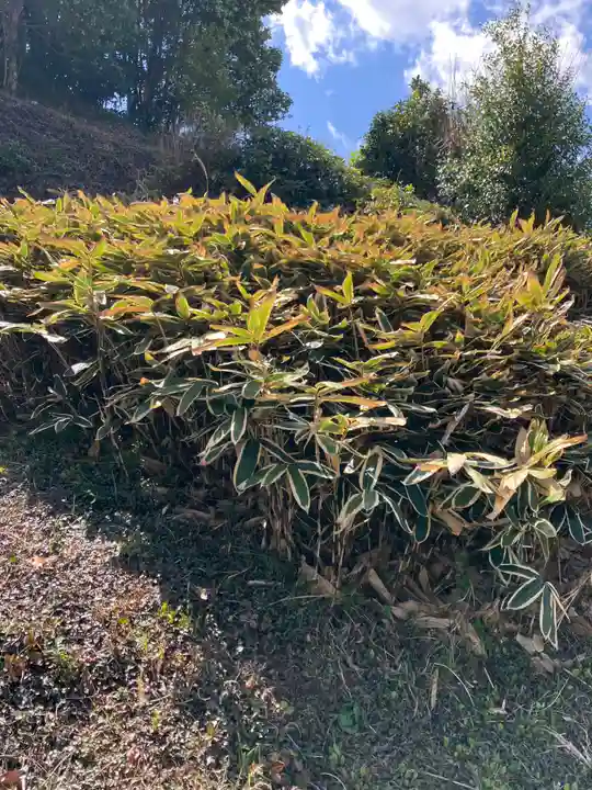 十輪寺(和歌山県)