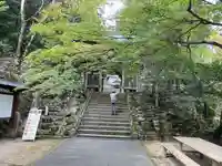 大窪寺の自然