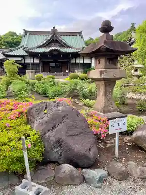 時宗総本山 遊行寺（正式：清浄光寺）(神奈川県)