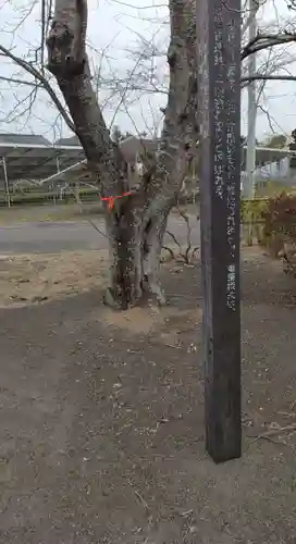 湊神社(宮城県)