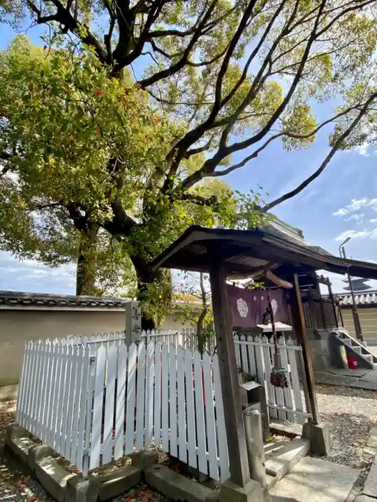 東寺(教王護国寺)(京都府)