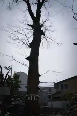 戸越八幡神社(東京都)