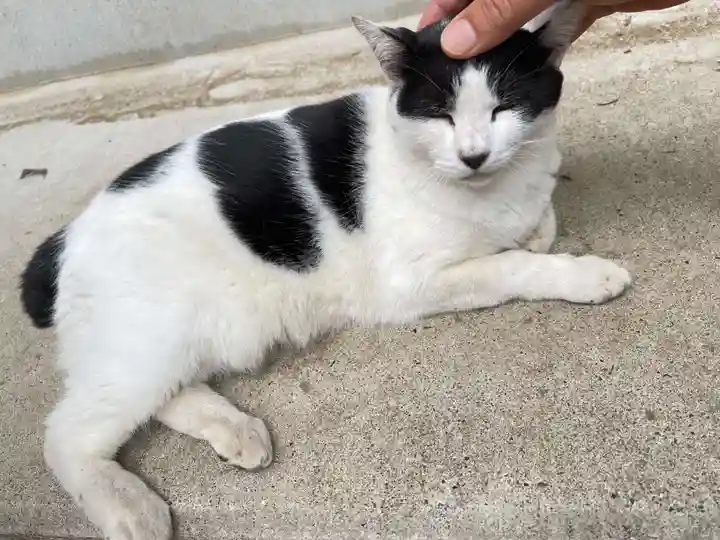 鎌数伊勢大神宮の御朱印