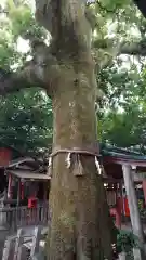 武信稲荷神社の自然