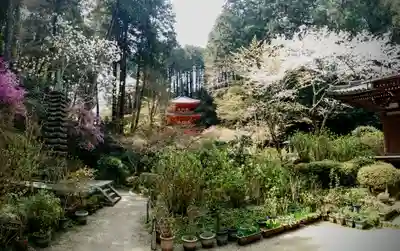 岩船寺(京都府)
