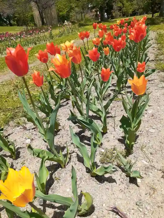 宮前霹靂神社の{uncategorized: "未分類", other: "その他", undefined: "問題あり", building: "その他建物", grave: "お墓", sacred_gate: "鳥居", guardian: "狛犬", statue: "像", buddha: "仏像", history: "歴史", nature: "自然", garden: "庭園", animal: "動物", pagoda: "塔", temizu: "手水舎", mountain_gate: "山門・神門", sanctuary: "本殿・本堂", subordinate: "末社・摂社", art: "芸術", scenery: "景色", jizo: "地蔵", ema: "絵馬", goshuin: "御朱印", omikuji: "おみくじ", items: "授与品その他", amulet: "お守り", goshuincho: "御朱印帳", eats: "食事", festival: "お祭り", votive_dance: "神楽", shichigosan: "七五三参", wedding: "結婚式", experience: "体験その他", initially: "初詣", around: "周辺", anti_infection: "感染症対策"}