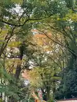 武蔵一宮氷川神社(埼玉県)