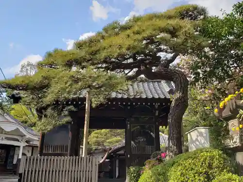 宝泉寺の山門