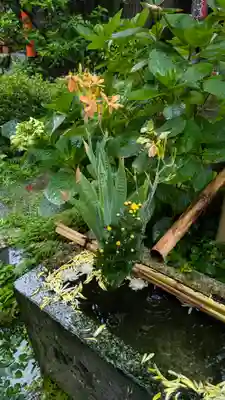 宝蔵寺(京都府)