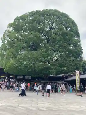明治神宮(東京都)
