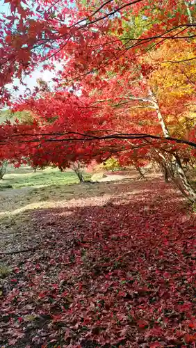 鶏足寺(滋賀県)