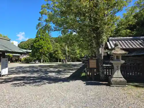 闘鶏神社(和歌山県)