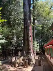 一言主神社(茨城県)