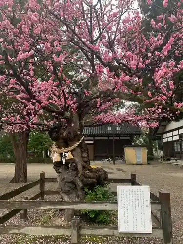 射水神社の庭園