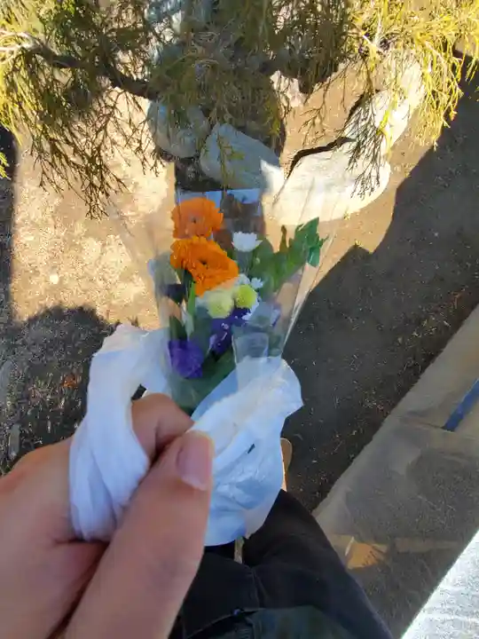 興聖寺(栃木県)