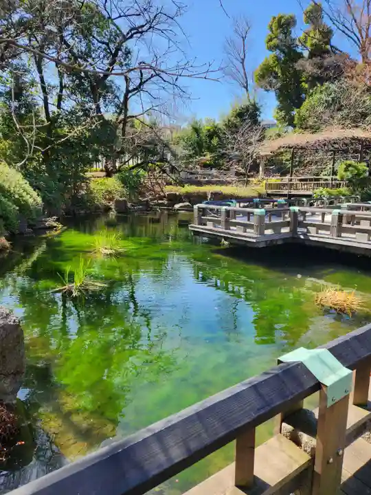 東郷神社(東京都)