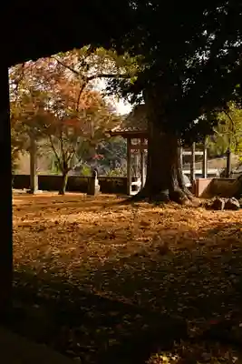 禅蔵寺(愛媛県)