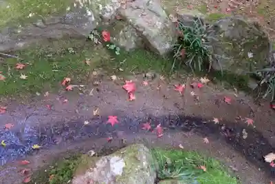 勝持寺（花の寺）(京都府)