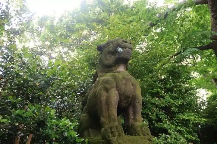 愛宕神社の狛犬