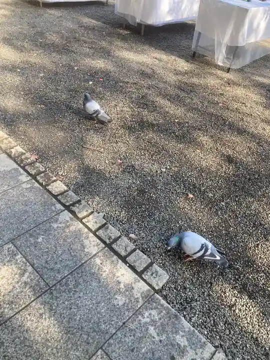 平塚八幡宮(神奈川県)