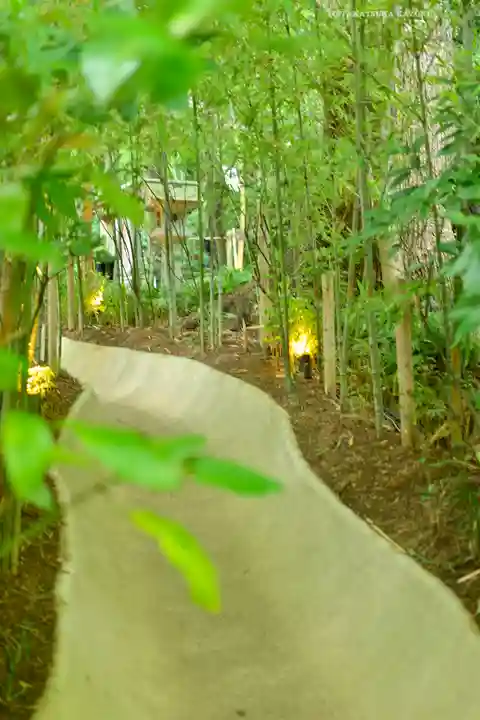 來宮神社(静岡県)