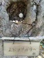 吸湖山 青岸寺のその他建物