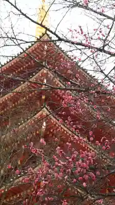 高幡不動尊　金剛寺(東京都)