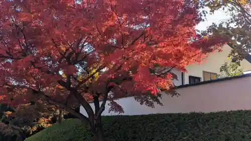 宝徳寺(群馬県)