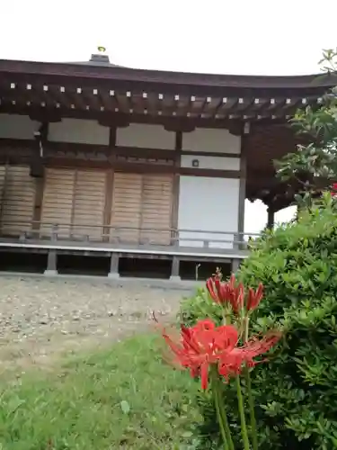 一乗院(開運出世筑波不動尊) の本殿・本堂