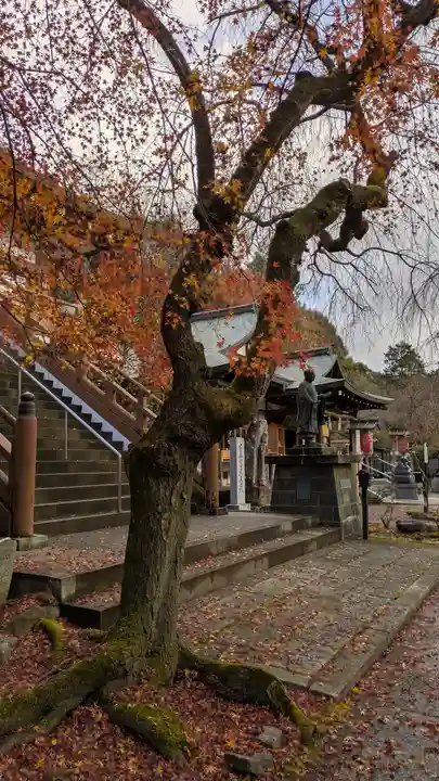 松ヶ崎大黒天 妙圓寺(妙円寺)(京都府)