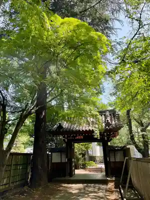 観音院(東京都)