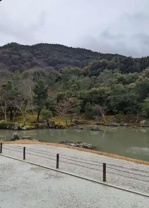 天龍寺の庭園