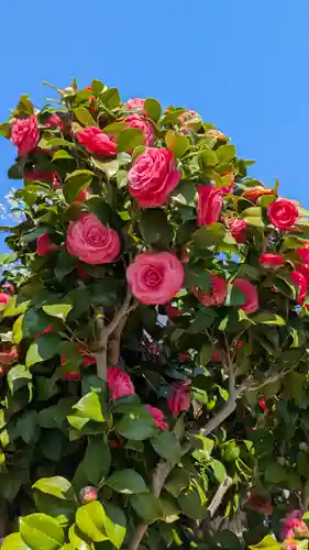 大乗寺(滋賀県)