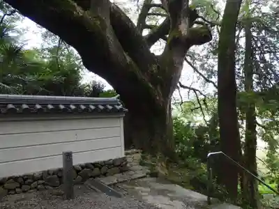 大興寺(香川県)