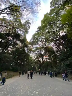 明治神宮(東京都)