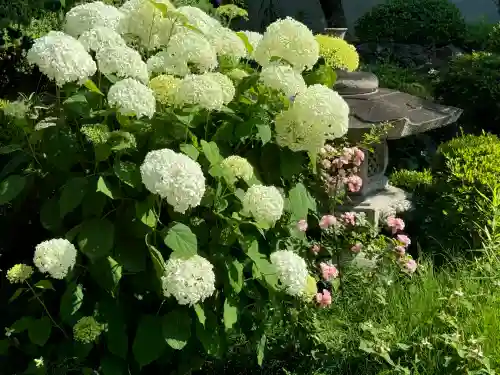 智福院の{uncategorized: "未分類", other: "その他", undefined: "問題あり", building: "その他建物", grave: "お墓", sacred_gate: "鳥居", guardian: "狛犬", statue: "像", buddha: "仏像", history: "歴史", nature: "自然", garden: "庭園", animal: "動物", pagoda: "塔", temizu: "手水舎", mountain_gate: "山門・神門", sanctuary: "本殿・本堂", subordinate: "末社・摂社", art: "芸術", scenery: "景色", jizo: "地蔵", ema: "絵馬", goshuin: "御朱印", omikuji: "おみくじ", items: "授与品その他", amulet: "お守り", goshuincho: "御朱印帳", eats: "食事", festival: "お祭り", votive_dance: "神楽", shichigosan: "七五三参", wedding: "結婚式", experience: "体験その他", initially: "初詣", around: "周辺", anti_infection: "感染症対策"}