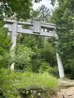自玉手祭来酒解神社(京都府)