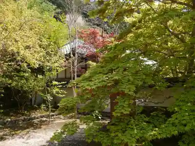 桑実寺のその他建物